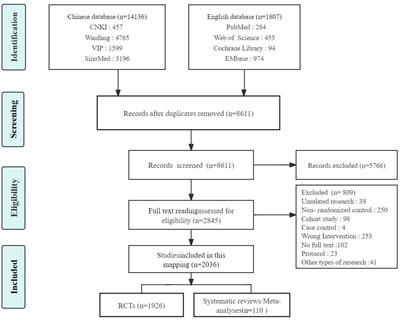 Analysis of clinical evidence on traditional Chinese medicine for the treatment of diabetic nephropathy: a comprehensive review with evidence mapping